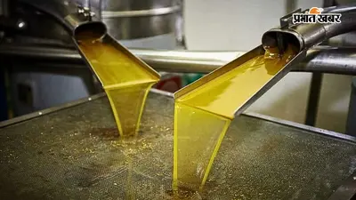 बिहार में तेल मिल लगाने पर सरकार देगी 990000 तक की सब्सिडी, 15 सितंबर तक करें आवेदन, ये शर्तें करनी होंगी पूरी