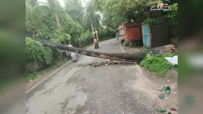 Palamu News: बारिश में छतरपुर-पांडू मुख्य पथ पर गिरा ताड़ का पेड़, कुछ देर बाधित रहा आवागमन, JCB से हटाया गया