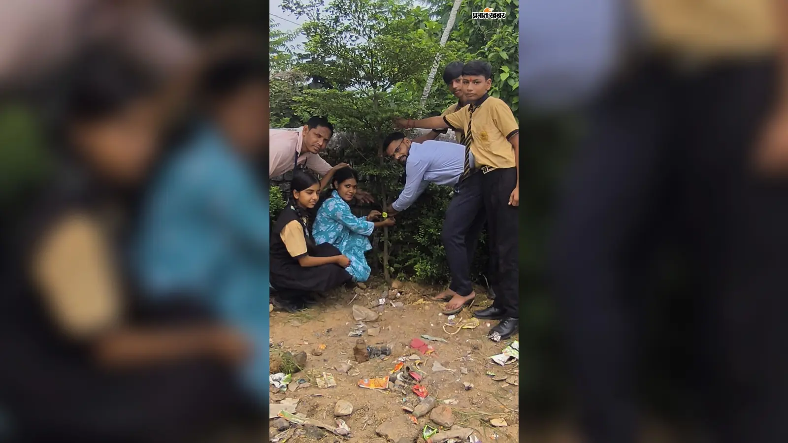 भाई-बहन ही नहीं, पेड़ों को भी बांधी राखी, लिया रक्षा का संकल्प