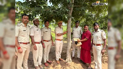 रोहतास: रक्षाबंधन पर पेड़ों को बांधी राखी, वनकर्मियों ने लिया सुरक्षा का संकल्प