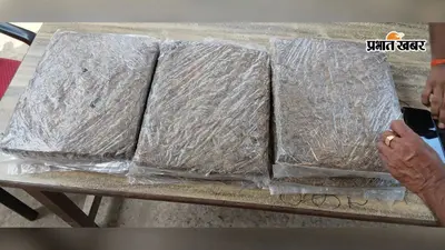 बेगूसराय में वाहन चेकिंग के दौरान 10 किलो गांजा बरामद, दो तस्कर गिरफ्तार, एक फरार