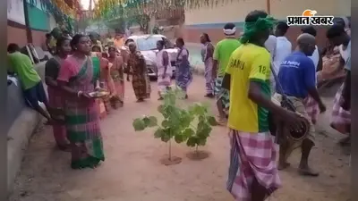 करम डाली के नीचे माथा टेक मांगी खुशहाली, अखाड़े में देर रात तक झूमे ग्रामीण, जानें क्या है मान्यता