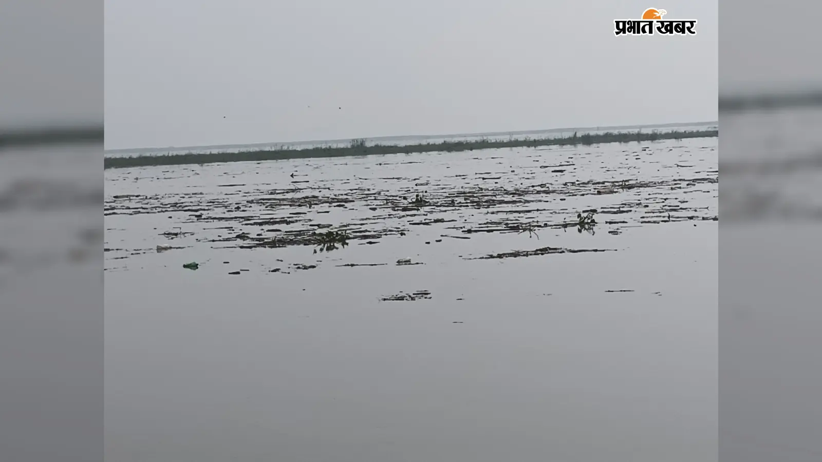 वैशाली: गंगा में अचानक उमड़ा मलबे का सैलाब, पेड़-पौधे और लकड़ियां देख ग्रामीणों की बढ़ी चिंता