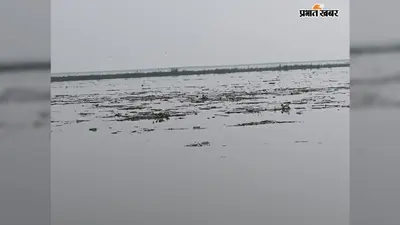 वैशाली: गंगा में अचानक उमड़ा मलबे का सैलाब, पेड़-पौधे और लकड़ियां देख ग्रामीणों की बढ़ी चिंता