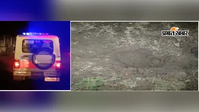 गिद्दी में दो जंगली हाथियों की दस्तक, पुलिस ने लाउडस्पीकर से लोगों को किया सतर्क