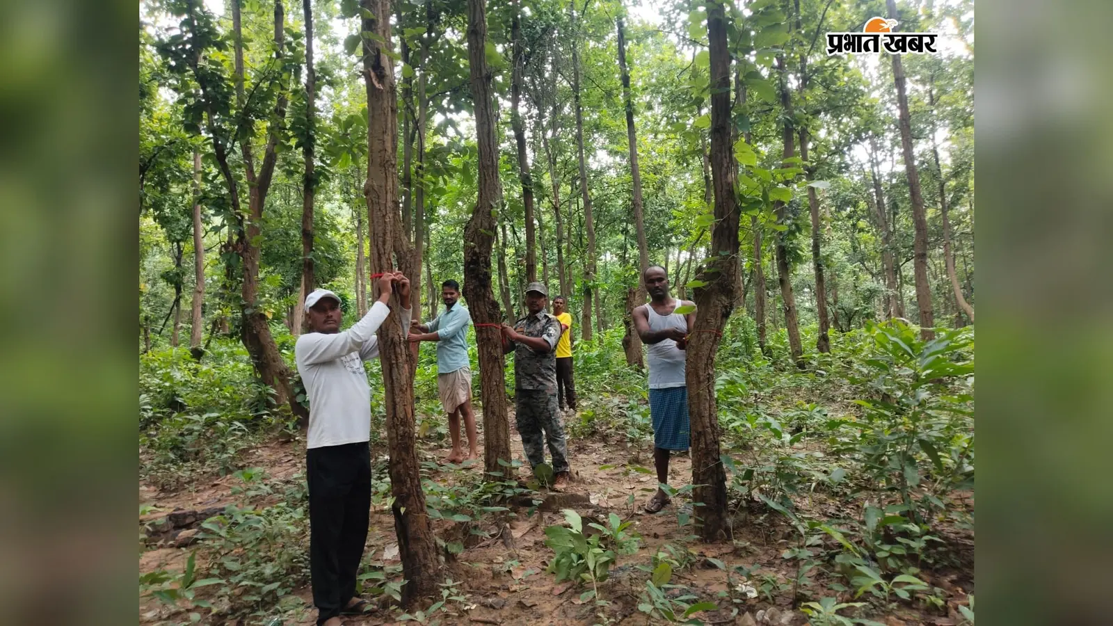 सतगावां: पेट्रो जलप्रपात में पेड़ों को राखी बांधकर लिया जंगल बचाने का संकल्प