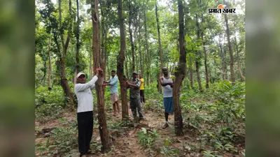 सतगावां: पेट्रो जलप्रपात में पेड़ों को राखी बांधकर लिया जंगल बचाने का संकल्प