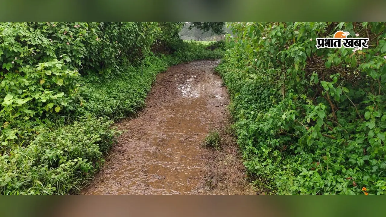 80 साल बाद भी विकास से दूर बेहरापाठ, पानी-सड़क-बिजली के लिए तरस रहे 20 परिवार