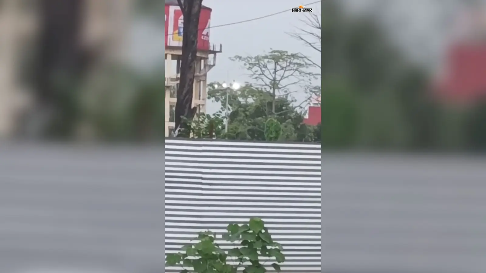 खबर का असर: बेतिया स्टेशन पर ठप पड़ी हाई-मास्ट लाइटें हुईं चालू, 24 घंटे के भीतर एक्शन