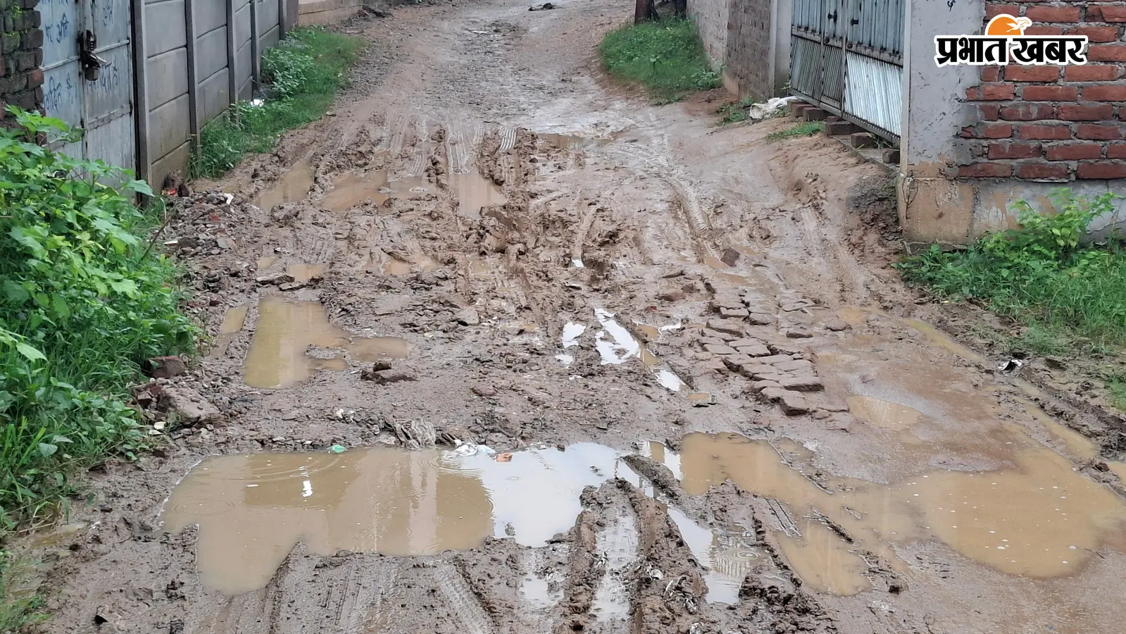 नगर निगम में शामिल होने के आठ साल बाद भी बैंक कॉलोनी में जर्जर सड़क, स्ट्रीट लाइट का अभाव, जलापूर्ति की व्यवस्था नहीं