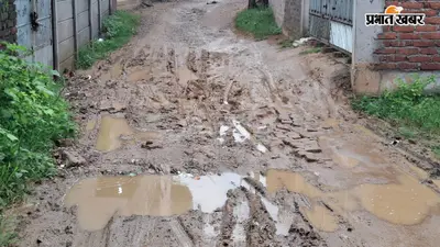 नगर निगम में शामिल होने के आठ साल बाद भी बैंक कॉलोनी में जर्जर सड़क, स्ट्रीट लाइट का अभाव, जलापूर्ति की व्यवस्था नहीं