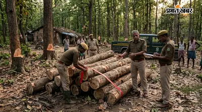 सखुआ के पेड़ों पर चली आरी, वन विभाग ने कसा शिकंजा; लिट्टीपाड़ा में 11 बोटा लकड़ी जब्त