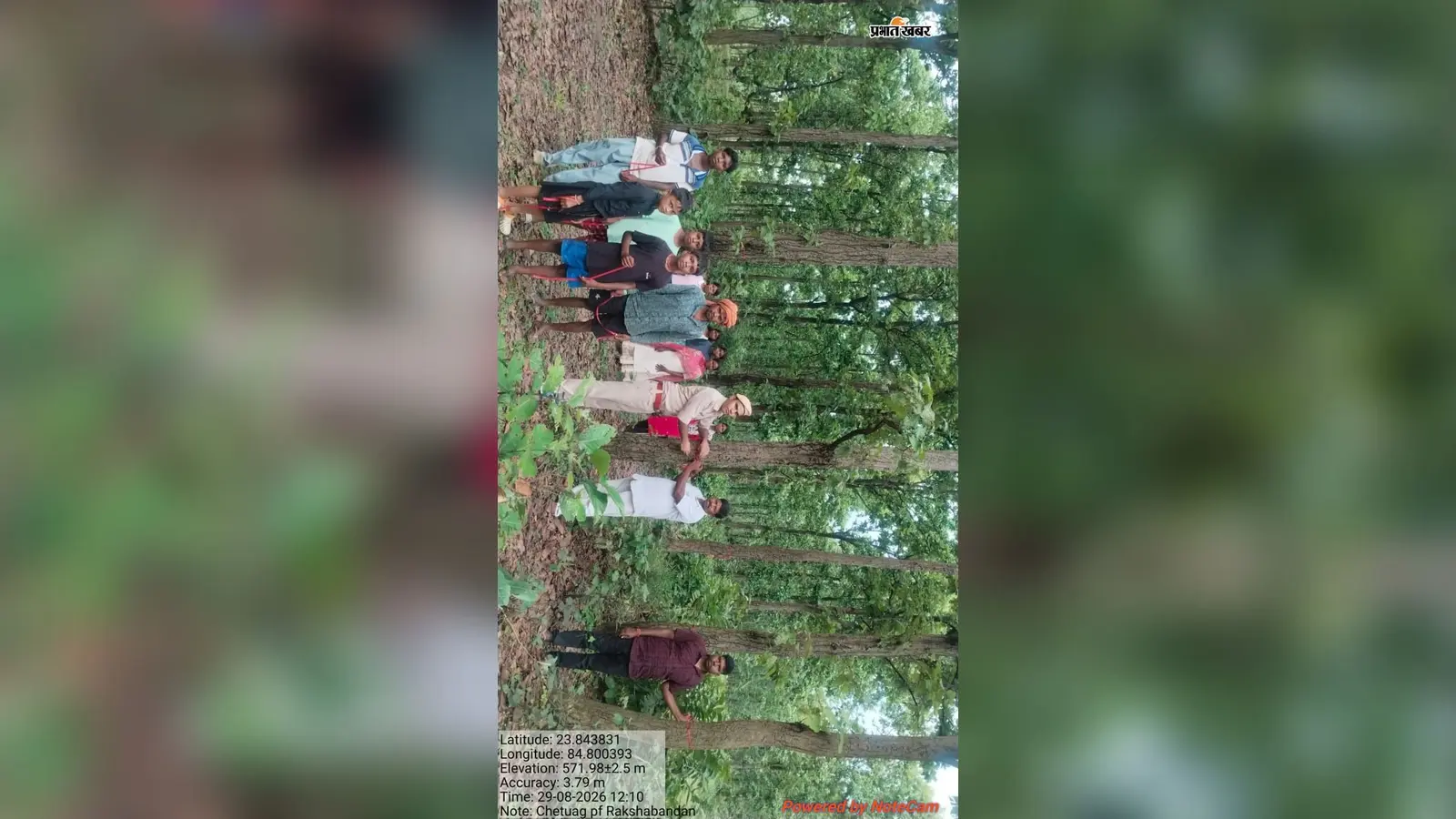 भाइयों के बाद पेड़ों की कलाई पर बंधी राखी, लातेहार में बहनों ने लिया जंगल बचाने का संकल्प