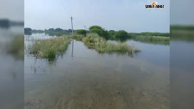 सीवान: बड़हरिया के गंडकी नदी किनारे गांवों में बाढ़ का खतरा, फसलों पर मंडराया नुकसान का संकट