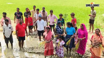 गया जी : सड़क नहीं बनी तो ग्रामीणों ने रोड पर ही रोप दिया धान, 35 साल से कर रहे हैं निर्माण का इंतजार