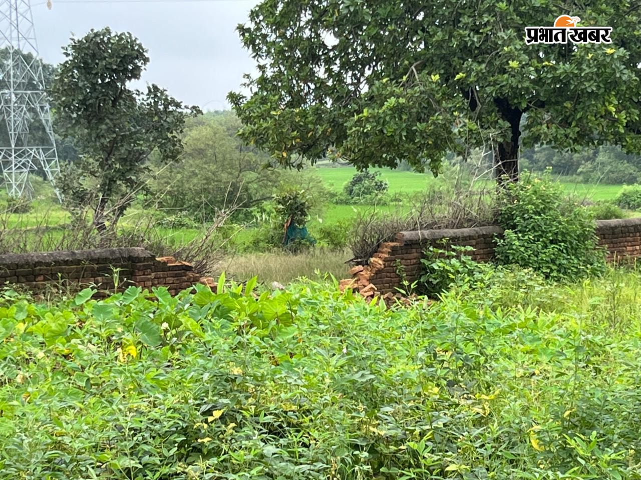 हाथियों द्वारा तोड़ा गया मकान की तस्वीर टेढ़ा किया गया चापाकल की तस्वीर देखने के लिए जुटी भीड़ | Prabhat Khabar Network