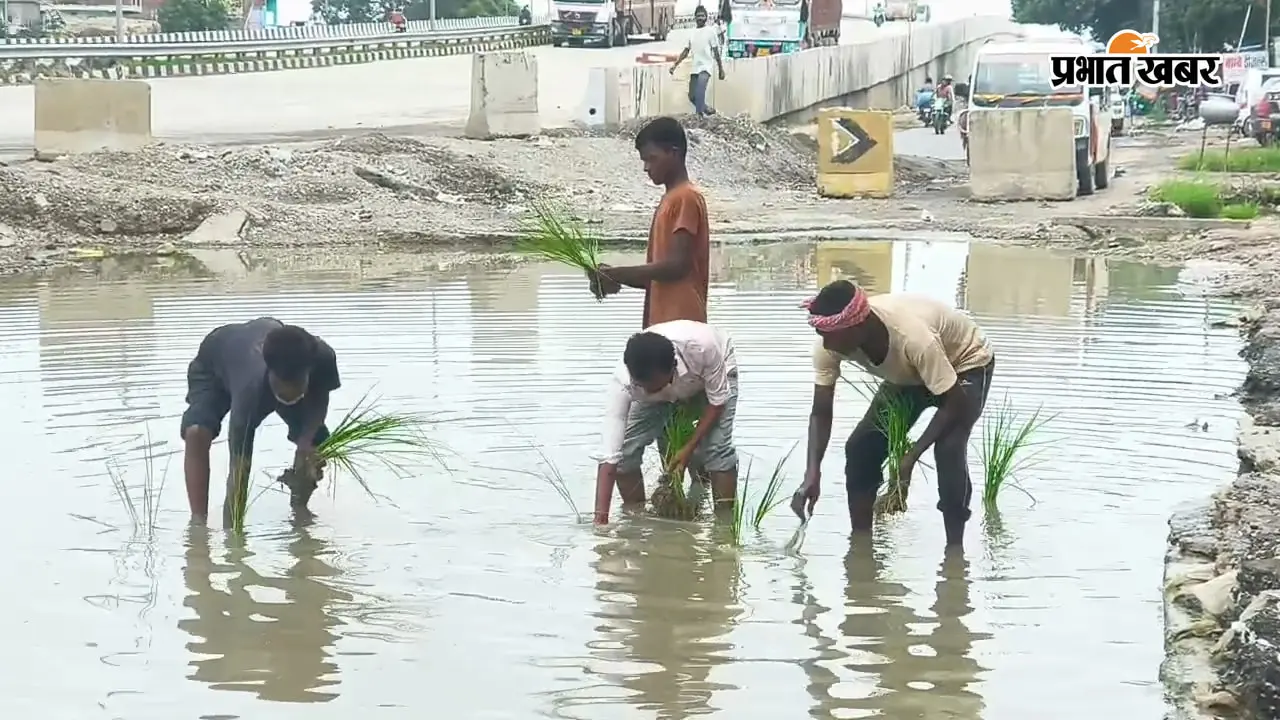 कैमूर: सड़क बनी तालाब तो लोगों ने रोपा धान, NH-19 की सर्विस रोड पर अनोखा विरोध; कारोबार चौपट, हादसों से आक्रोश