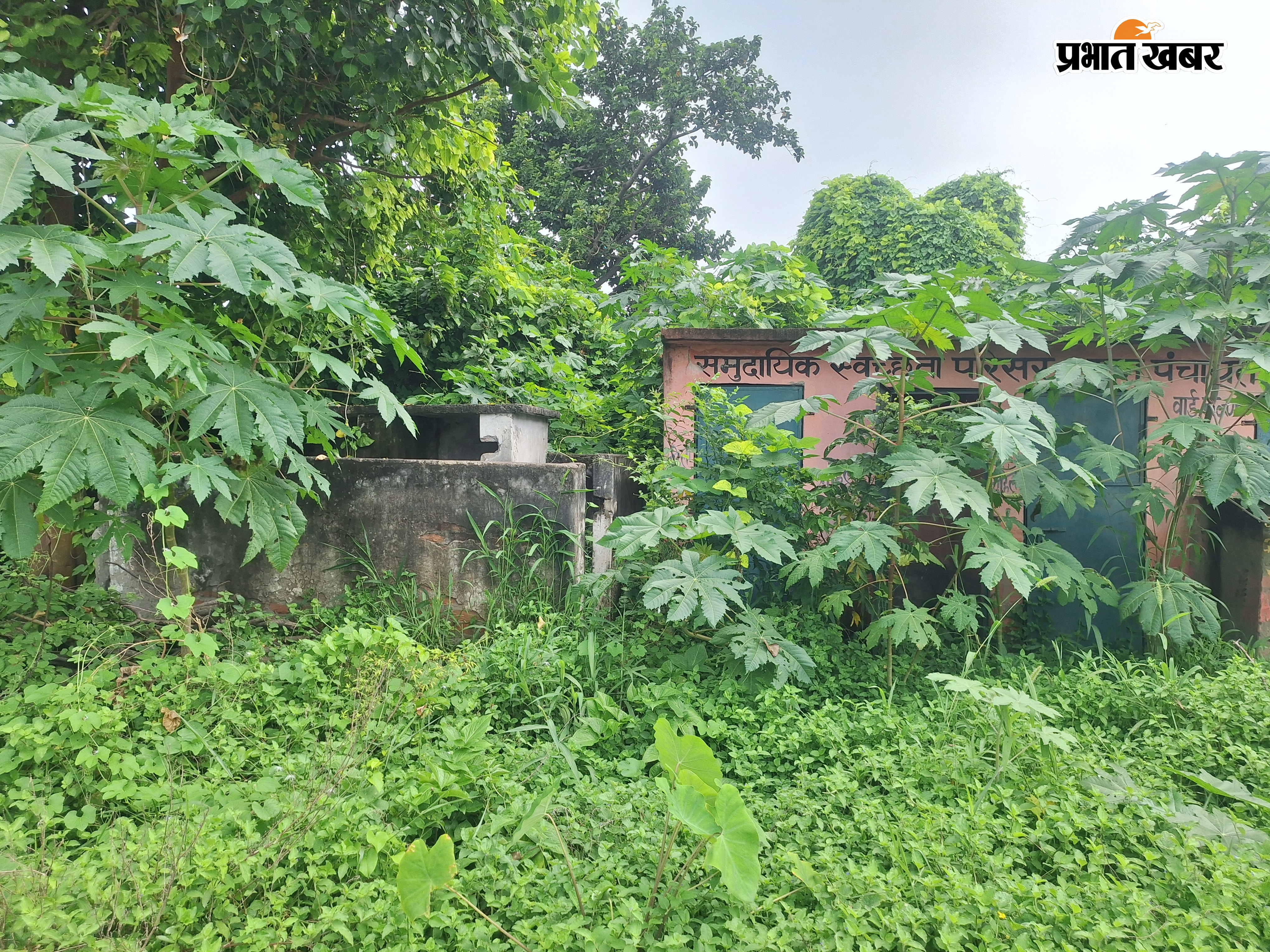 भागीपट्टी समउर-मीरगंज मुख्य पथ को जाम करते व्यवसायी, बथुआ-श्रीपर बाईपास को जाम करती छात्राएं, ठप पड़ा यातायात, घने झाडियों से पटा सार्वजनिक शौचालय | Prabhat Khabar Network