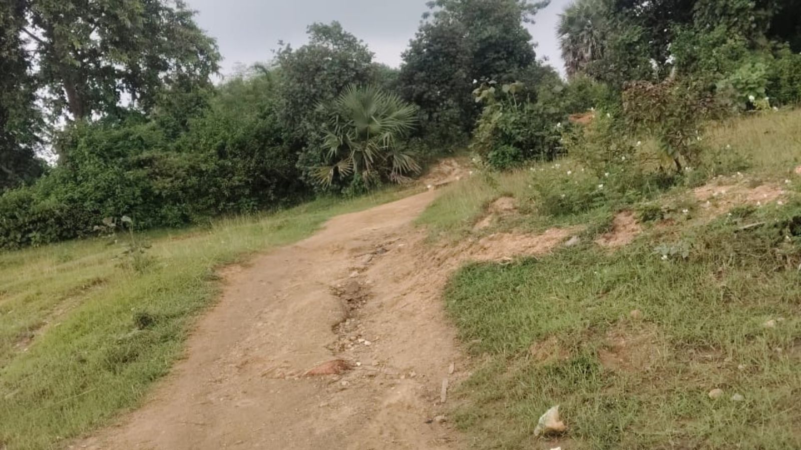 कच्चा संपर्क पथ.