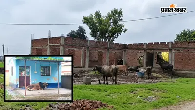 पुलिस चौकी या तबेला? जिस भवन में बैठनी थी पुलिस, वहां बंध रही गाय-भैंस, चंदौली में तीन साल बाद भी नहीं बदली तस्वीर