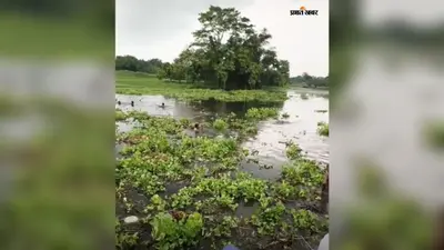 कोचाधामन के मंसुरा गांव में झील में डूबने से 12 वर्षीय मासूम की मौत, गांव में पसरा मातम