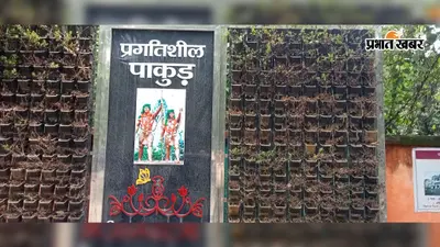 जिस पहल से संवरना था पाकुड़, उसी के बोर्ड पर सूख रहे पौधे