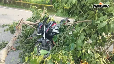 रांची-मुरी रोड पर सूखे पेड़ ने ली बाइक सवार की जान, दूसरे की हालत गंभीर