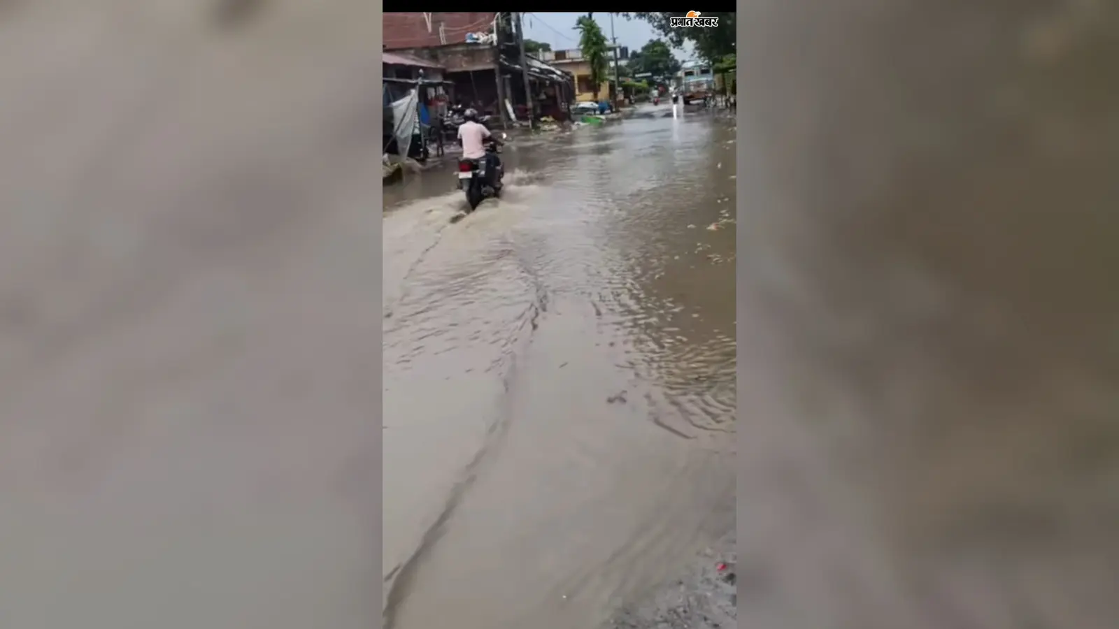 अररिया के पलासी में दो दिन झमाझम बारिश, धान किसानों के चेहरे खिले; गड्ढों में पानी भरने से सड़कें बेहाल