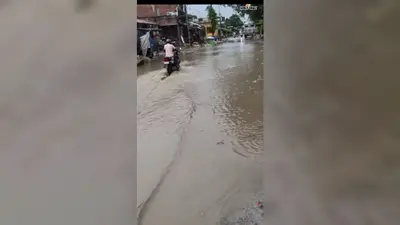 अररिया के पलासी में दो दिन झमाझम बारिश, धान किसानों के चेहरे खिले; गड्ढों में पानी भरने से सड़कें बेहाल