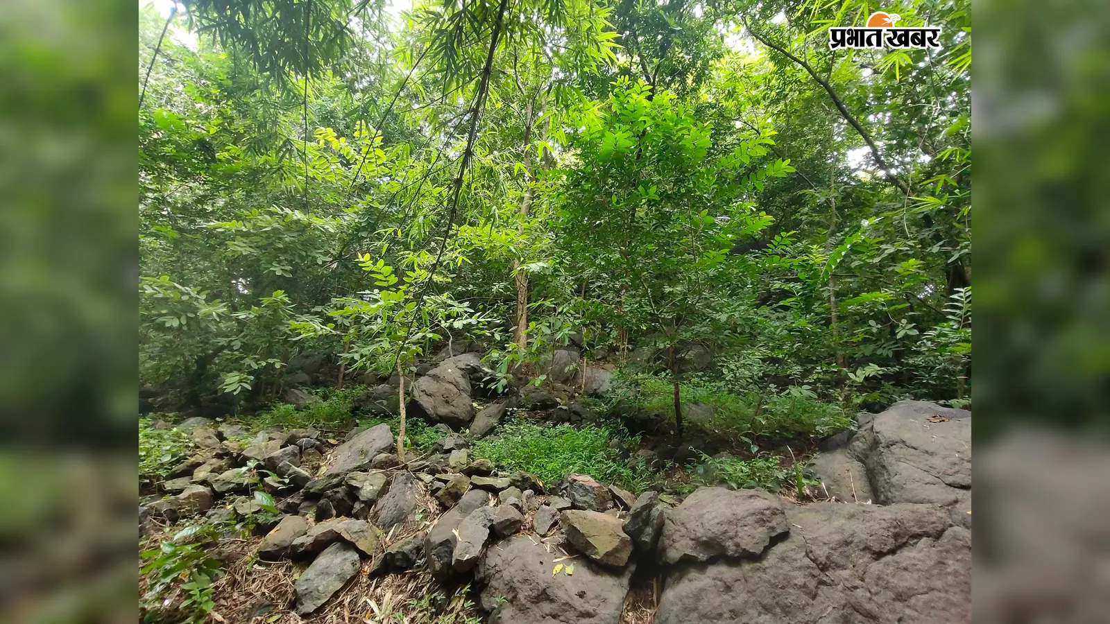 250 वर्षों से आस्था का केंद्र है डूंगरी बाबा, नाग देवता से जुड़ी है रहस्यमयी मान्यता