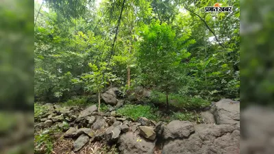 250 वर्षों से आस्था का केंद्र है डूंगरी बाबा, नाग देवता से जुड़ी है रहस्यमयी मान्यता
