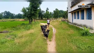 11 साल पहले बना सांसद आदर्श ग्राम, फिर भी बदहाल मतिमटोली; 223 में सिर्फ 3 योजनाएं धरातल पर