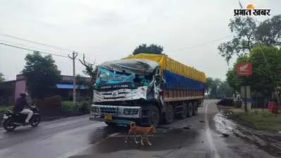 वाहन खड़ा कर बांस उतार रहे युवक की ट्रक के धक्के से मौत