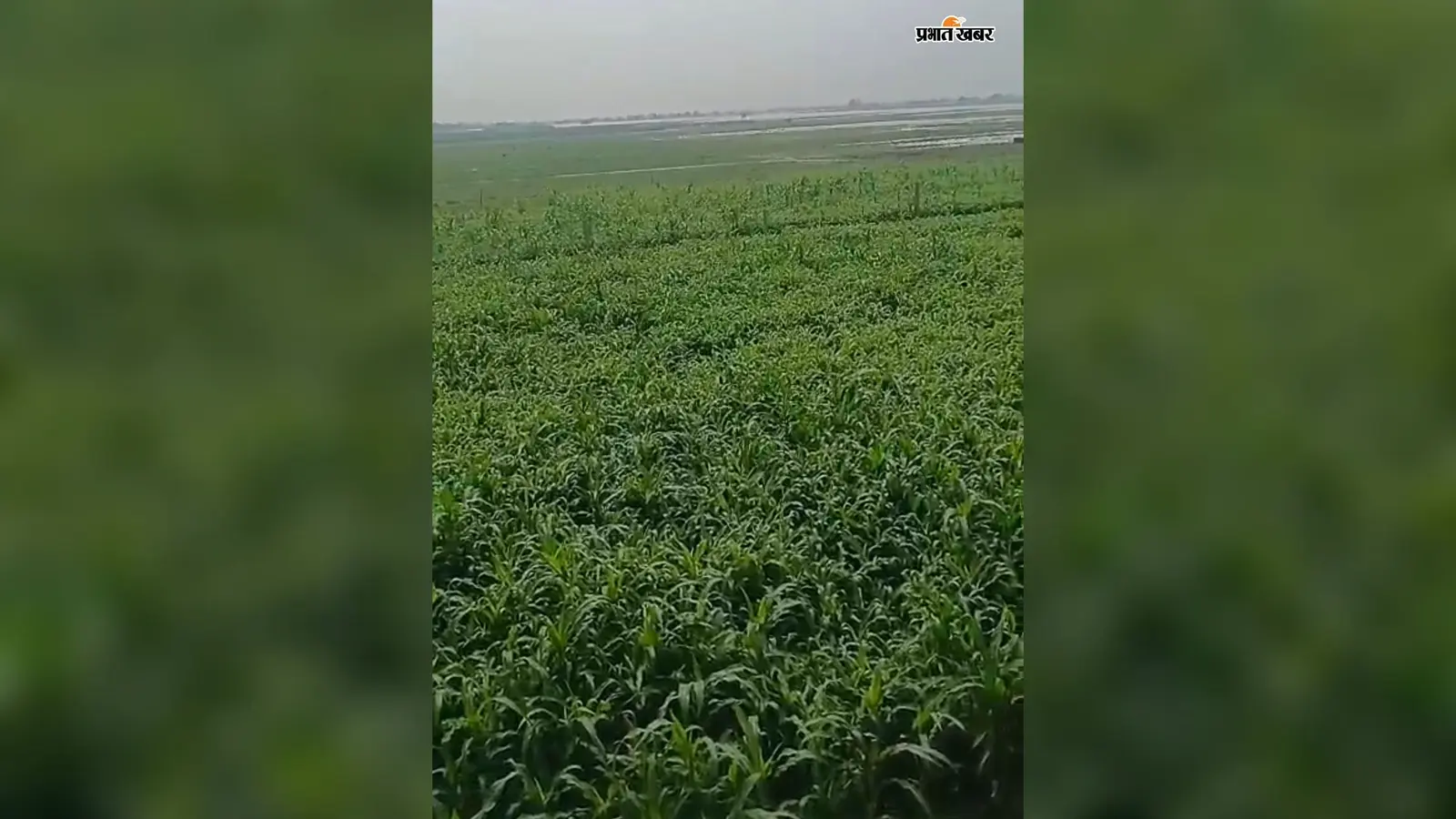 सारण में अगले 24 से 36 घंटे भारी: फिर बढ़ सकता है नदियों का जलस्तर, जिला प्रशासन अलर्ट