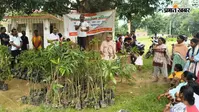रांची: कांके में हरियाली की पहल, दुबलिया गांव में ग्रामीणों के बीच बांटे गये 435 पौधे