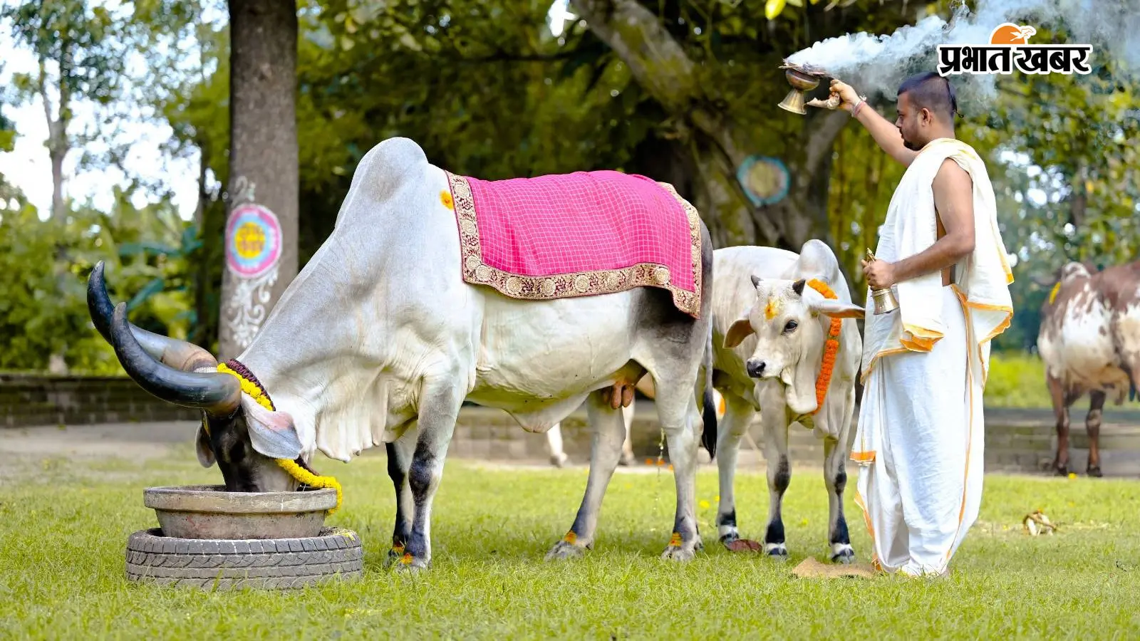 Bahula Chaturthi 2026: बहुला चतुर्थी पर क्यों जरूरी है गाय की पूजा? व्रती महिलाएं न करें ये 5 काम