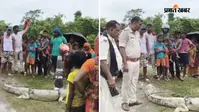 सुपौल में कोसी नदी से निकलकर गांव के पास पहुंचा 6 फीट का मगरमच्छ, ग्रामीणों ने रस्सी से पकड़कर बांधा, फिर पहुंची वन विभाग की टीम