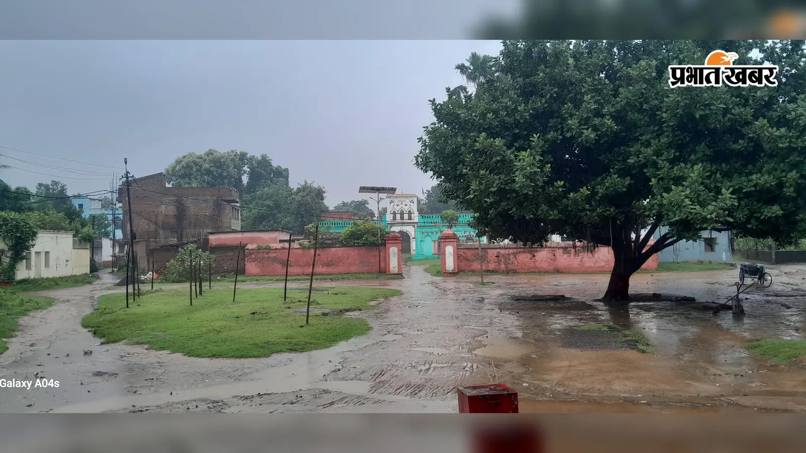 भादो की झमाझम बारिश ने लौटाई किसानों के चेहरे की रौनक, सूखते धान के खेतों को मिला जीवनदान