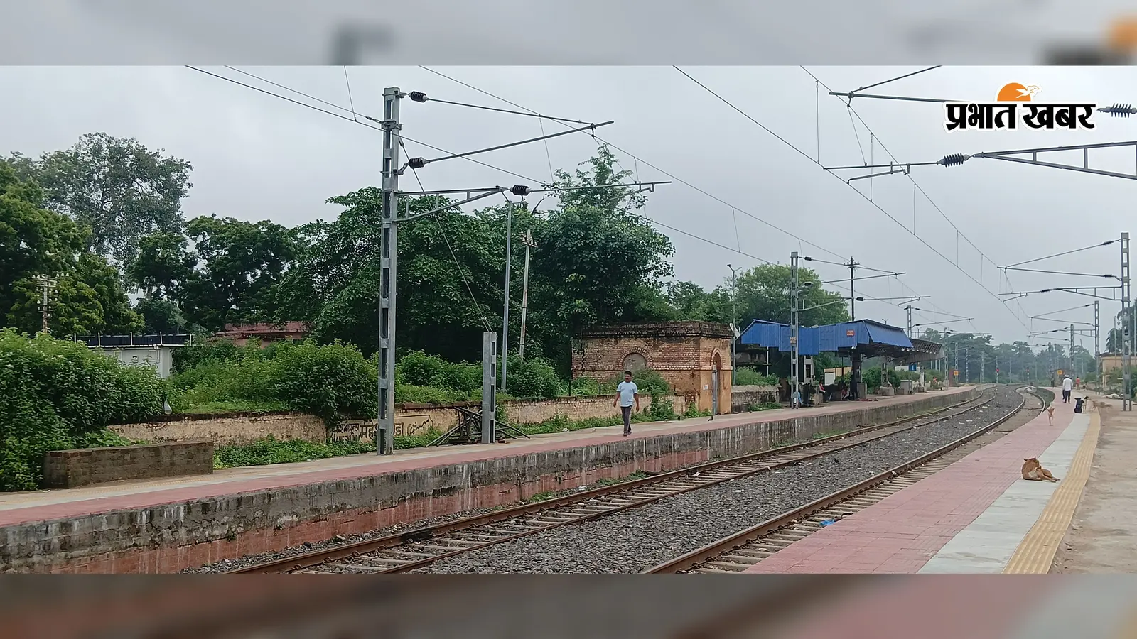 महेशमुंडा स्टेशन पर यात्री सुविधाओं का टोटा, जलजमाव-गंदगी और झाड़ियों के बीच ट्रेन का इंतजार