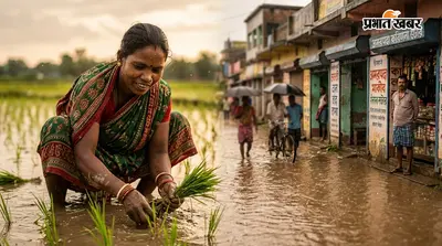 अमड़ापाड़ा में बारिश का दोहरा असर, बाजार में जलजमाव तो खेतों में खुशी