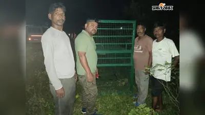 रात में कौन दे रहा दस्तक? बड़ी अलीगंज में जंगली जानवर की आवाज से दहशत, लगा पिंजरा