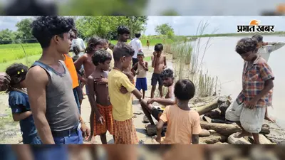 बाढ़ में बदहाल मुसहर टोली, गंडक से लकड़ी छानकर चूल्हा जलाने को मजबूर हैं परिवार