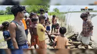 बाढ़ में बदहाल मुसहर टोली, गंडक से लकड़ी छानकर चूल्हा जलाने को मजबूर हैं परिवार