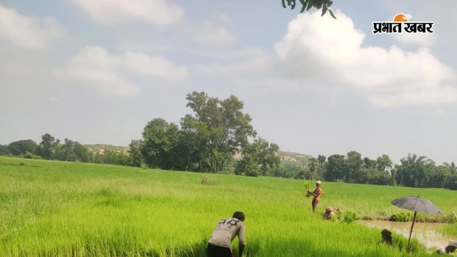जून-जुलाई में रूठे इंद्र अगस्त में अन्नदाताओं पर मेहरबान, औरंगाबाद में सामान्य से 15.68% अधिक हुई बारिश