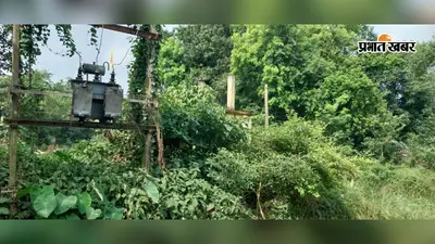 बेनीपुर में धान के खेतों में दरारें, राजकीय नलकूपों के बंद होने से सिंचाई संकट गहराया
