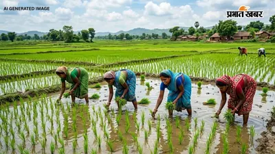 सावन में जमकर हुई बारिश ने सूखे को किया समाप्त, झारखंड में 87 प्रतिशत खेतों में लग गयी धान की फसल