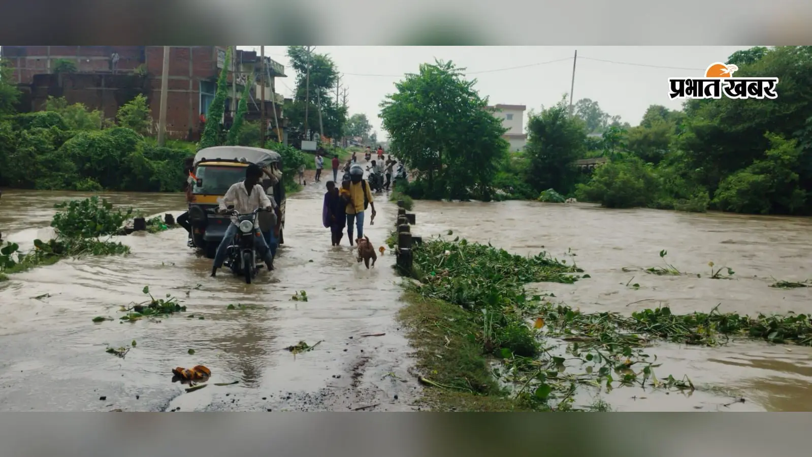 पुनपुन नदी उफान पर, ओबरा में चपरी पुल 3 फीट पानी में डूबा; दर्जनों गांवों में घुसा बाढ़ का पानी