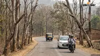 वन विभाग ने सालभर पहले दी थी कटाई की अनुमति, प्रक्रिया में अटके पेड़; रांची-मुरी रोड पर मौत को दे रहे दावत
