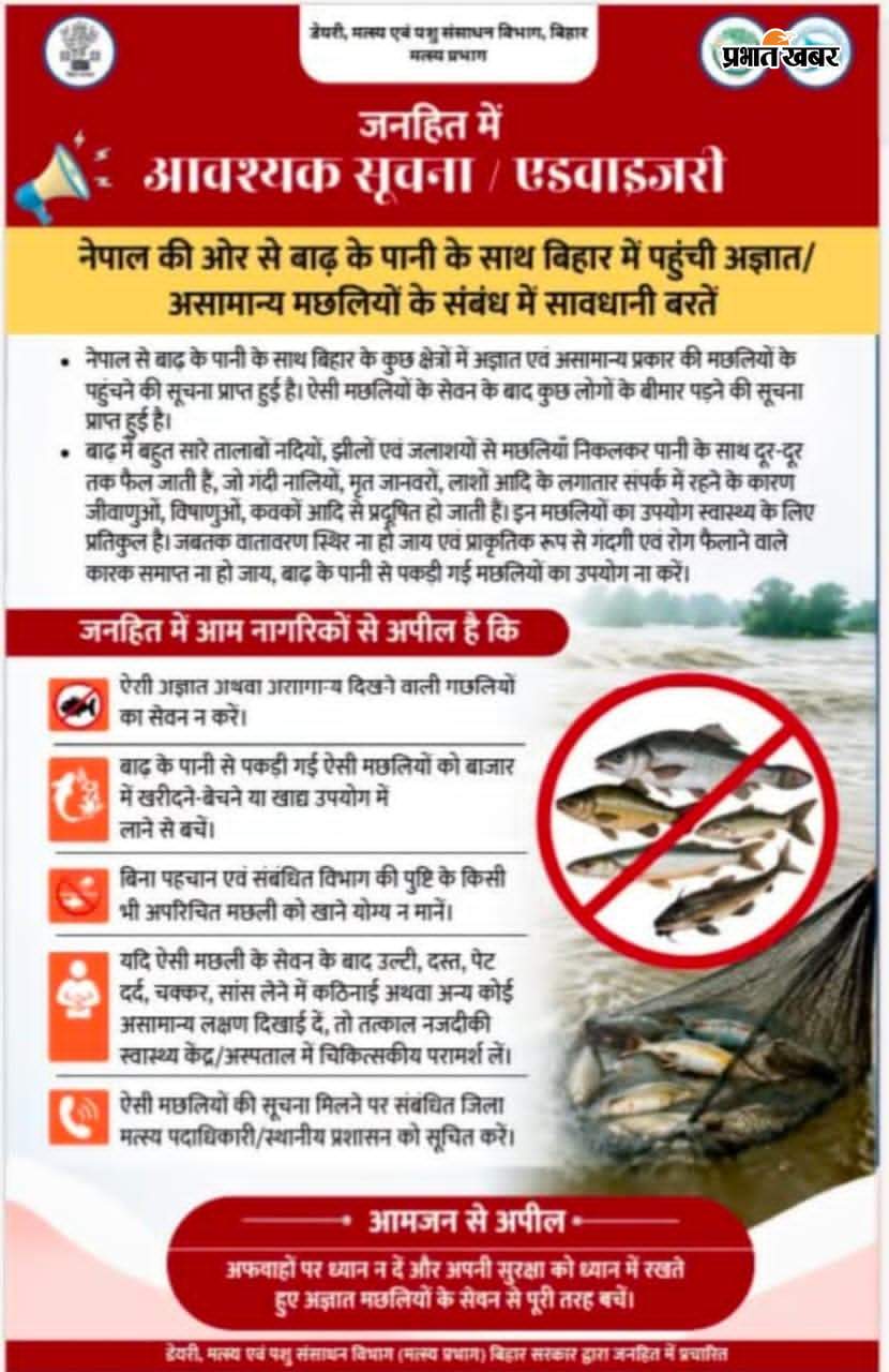 एसडीएम का प्रेस विज्ञप्ति जारी  मछली का फाइल फोटो | Prabhat Khabar Network