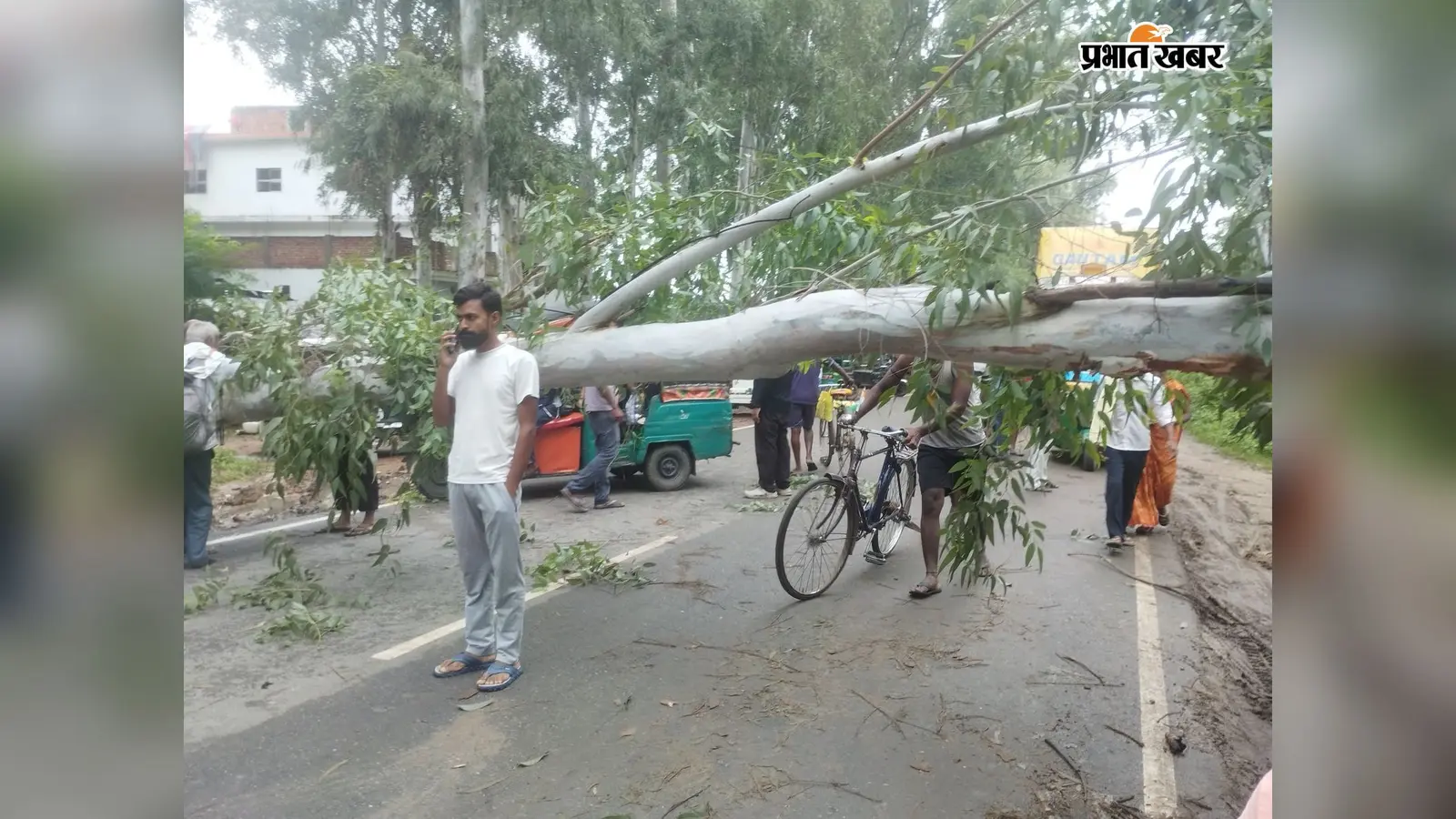 रोहतास : बिक्रमगंज में आंधी-बारिश बनी आफत, आरा-सासाराम मुख्य सड़क पर रातभर पड़ा रहा पेड़, लगा जाम